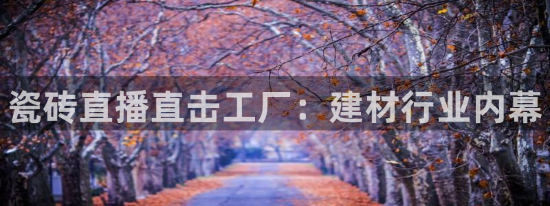 杏鑫平台代理怎么样啊