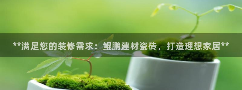 杏鑫娱乐官网