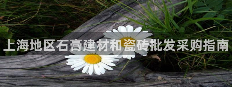 杏鑫平台注册入口