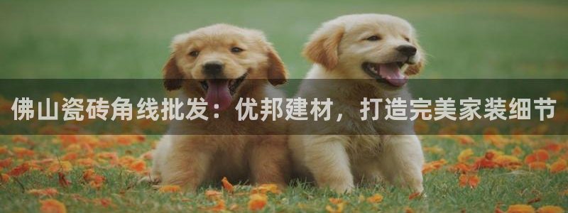 杏鑫官网注册账号是什么样的