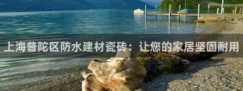 杏鑫注册登录平台