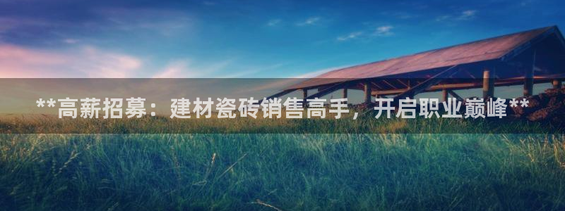 杏鑫平台代理注册流程图