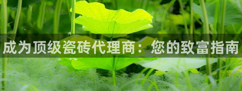 杏鑫平台代理注册多少钱一个