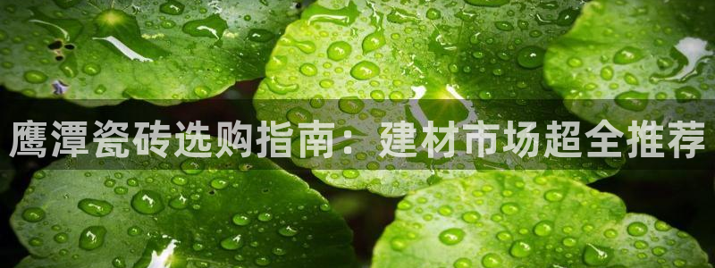 杏鑫平台招商怎么样可靠吗