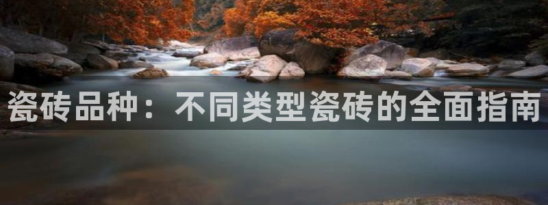杏鑫代理注册