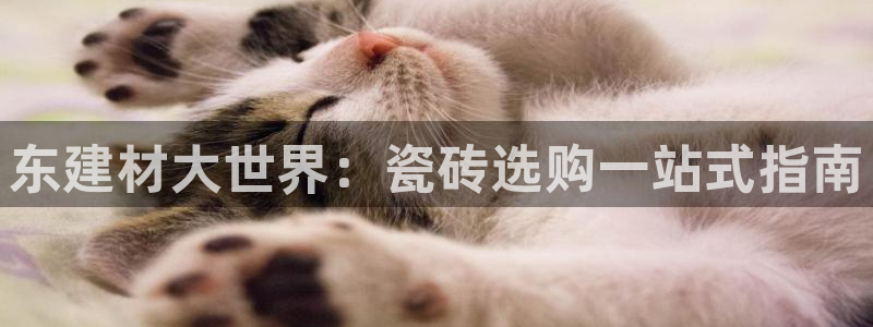 杏鑫注册平台官方网站入口