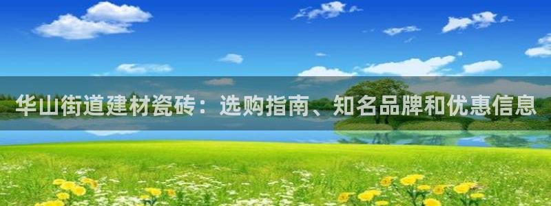 杏鑫平台代理注册流程图