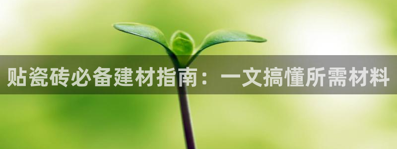 杏鑫娱乐官网登录