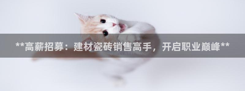 杏鑫平台注册地址是哪里