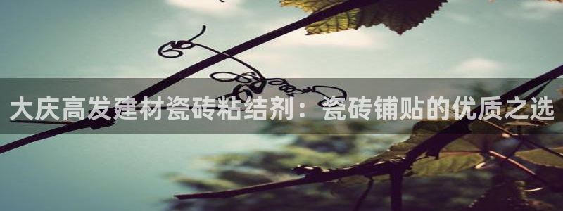 杏鑫平台代理怎么做