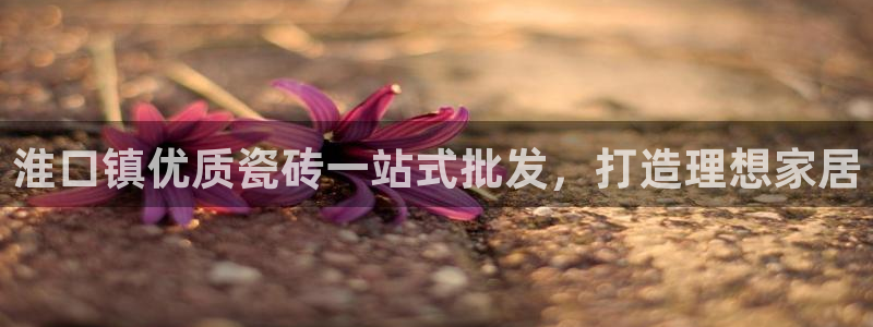 杏鑫平台登录注册