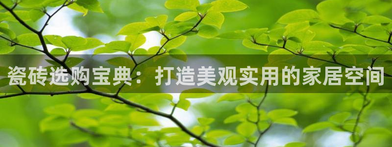杏鑫平台招商怎么样