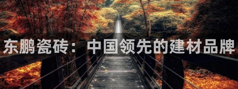 杏鑫平台广7O777