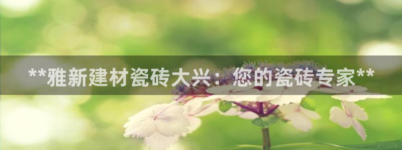 杏鑫平台代理怎么做