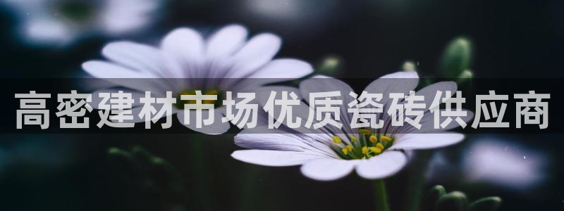 杏鑫平台在线注册流程