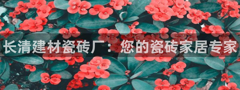 杏鑫平台野马联盟怎么样