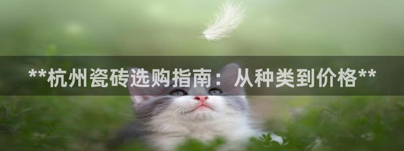 杏鑫官网注册账号是什么