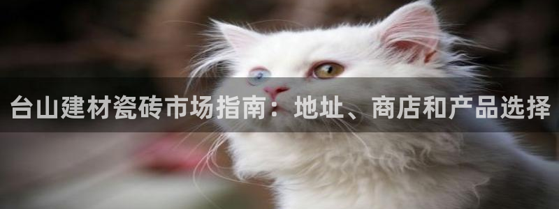 杏鑫平台野马联盟怎么样