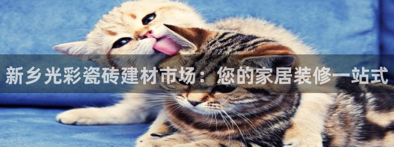 杏鑫注册平台官方网站入口