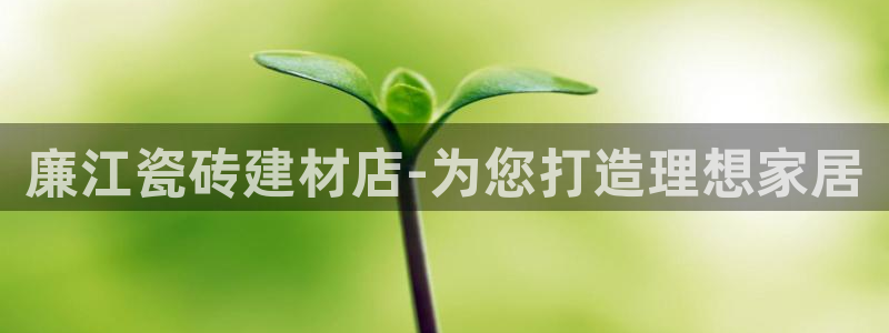 杏鑫注册登录代理