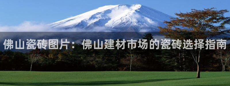 杏鑫平台登录地址查询