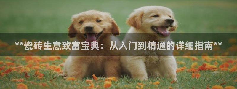 杏鑫官网最新信息新闻报道