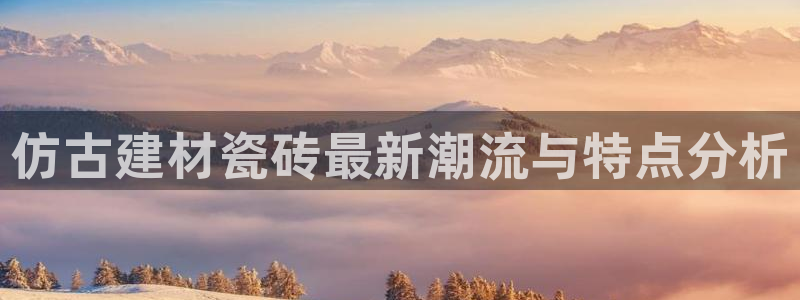 杏鑫平台注册网址查询