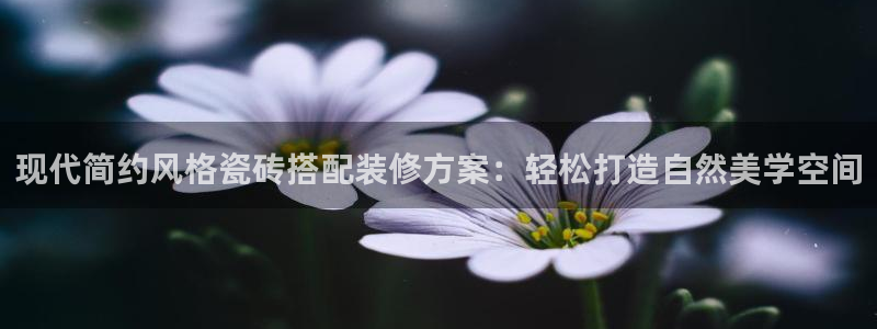 杏鑫平台注册登录