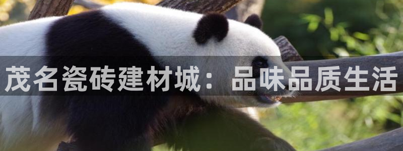 杏鑫娱乐平台登录