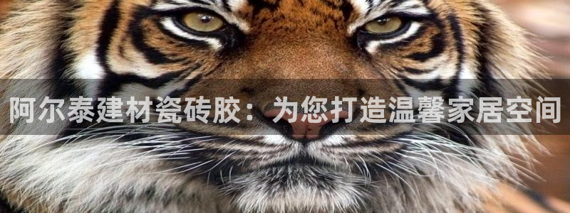 杏鑫平台怎么样黑钱吗是真的吗还是假的