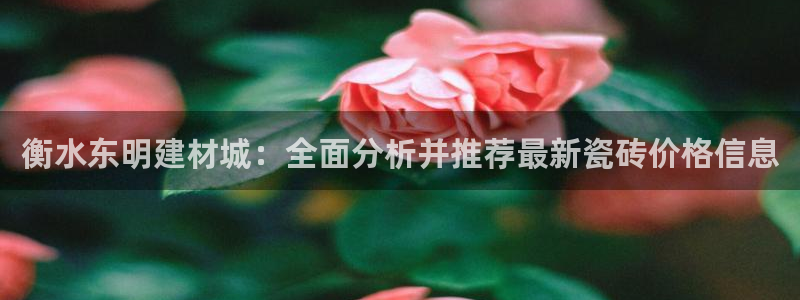 杏鑫手机客户端