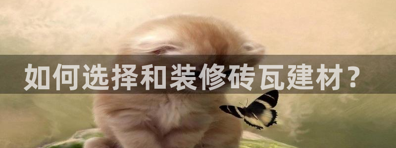 杏鑫官方平台怎么样啊知乎