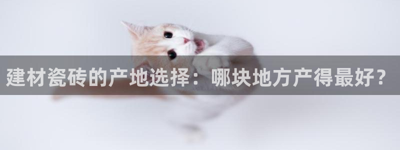 杏鑫平台代理注册