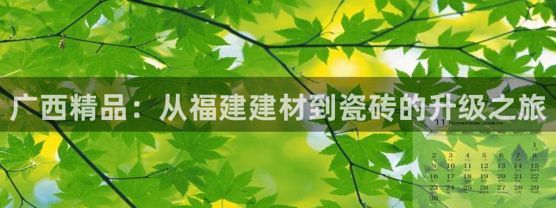 杏鑫官方app代理