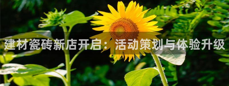 杏鑫平台是黑平台吗