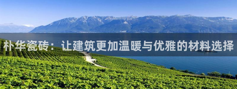 杏鑫官网最新信息新闻报道