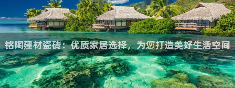 杏鑫官网注册账号密码是多少