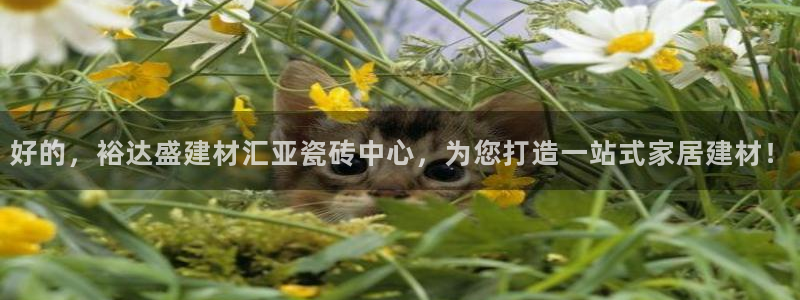 杏鑫平台招商电话是多少