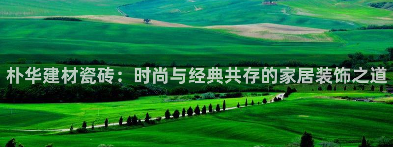 杏鑫代理注册资金多少