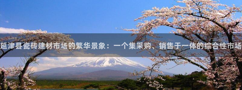 杏鑫娱乐平台登录