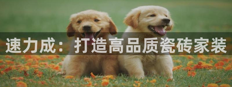 杏鑫注册平台官方网站入口