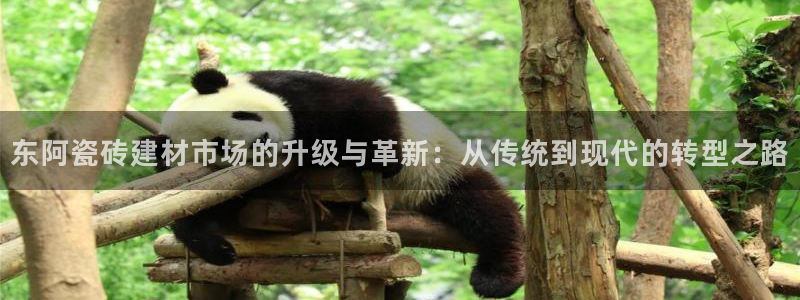 杏鑫代理注册资金多少