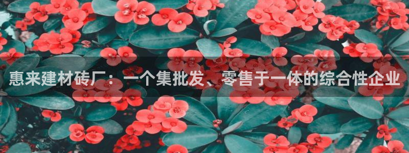 杏鑫平台代理注册