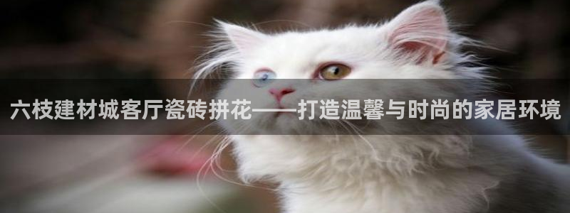 杏鑫平台代理注册多少钱