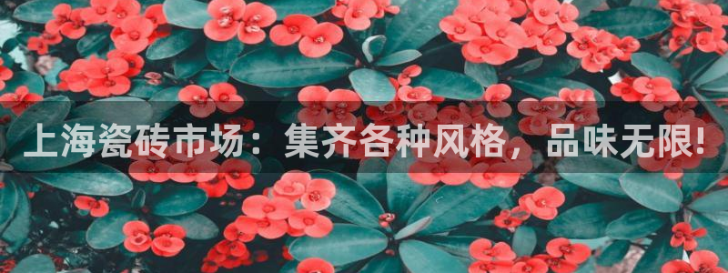 杏鑫注册登录网址是什么