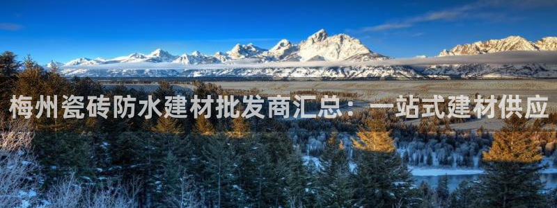 杏鑫平台正规吗