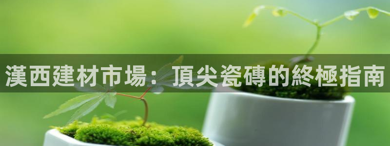 杏鑫官网注册账号怎么注册的