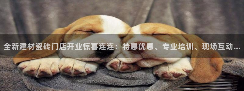 杏鑫官网最新信息新闻报道