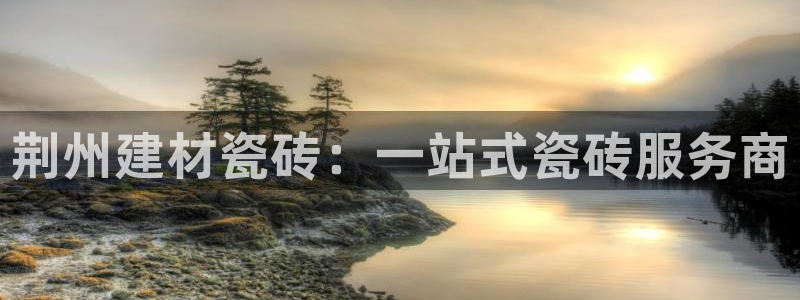杏鑫平台代理注册