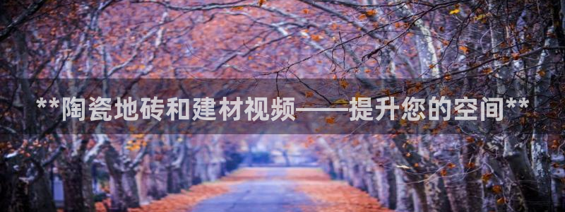 杏鑫手机客户端怎么下载